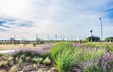 TERRENO EN ECOVIDA VILLA AMELIA 300M2